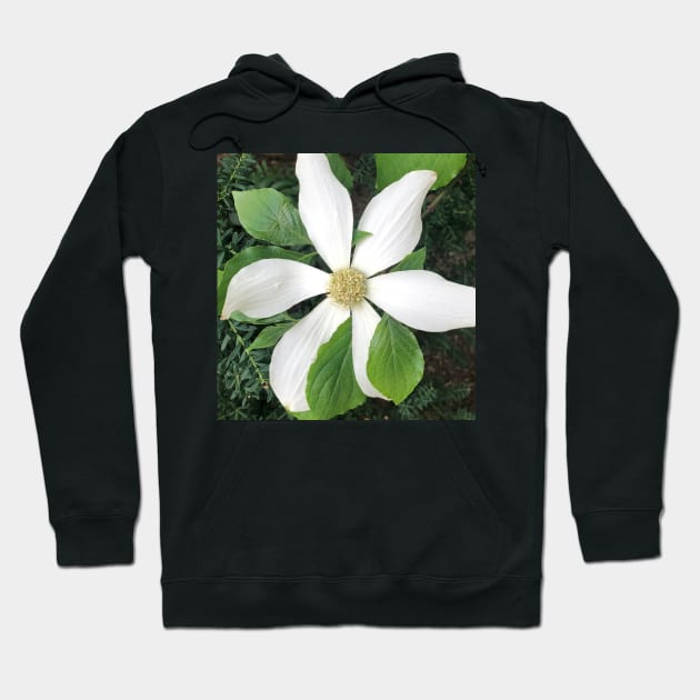 White Clematis Hoodie by Photomersion